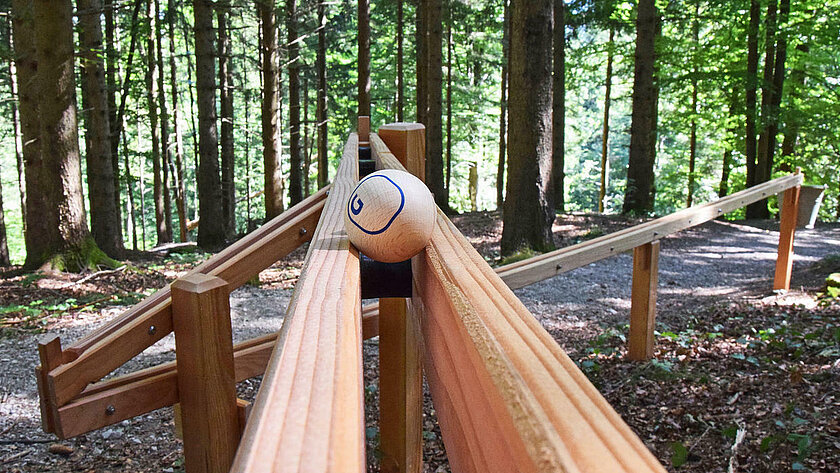 Eine Hohlkugel rollt auf einer Bahn im Wald.