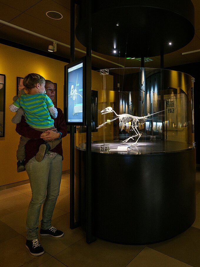 Eine Person hält ein kleines Kind mit einem Teddy in den Armen. Vor ihnen befindet sich ein Ausstellungsstück: ein Dinosaurierskelett in einer Glaskuppel. Neben dem Skelett ist ein Bildschirm, der zusätzliche Informationen anzeigt. Die Wände sind in warmen Gelbtönen gehalten. (öffnet Vergrößerung des Bildes)